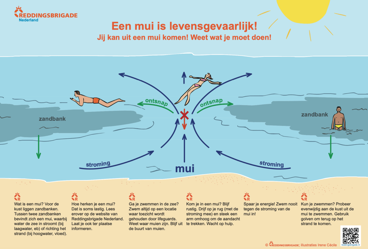 pvdw tweet media