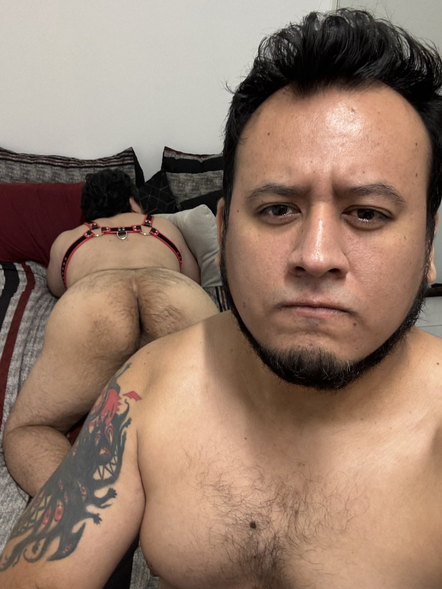 luiz__raga's tweet photo. Si la comparten y llega mínimo a 20RT les subo otra más hot 🥵 

#Quieres #LaCena #osito #GorditosYBonitos #bear #BearMX #Bearmty https://t.co/4nul5GvNbN