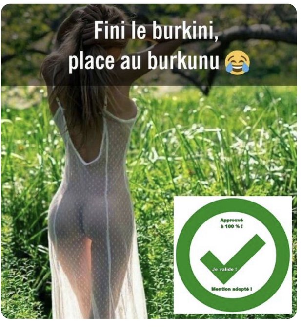 text alternatif