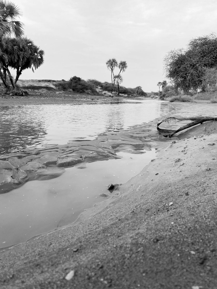 🏴☠️ tweet media