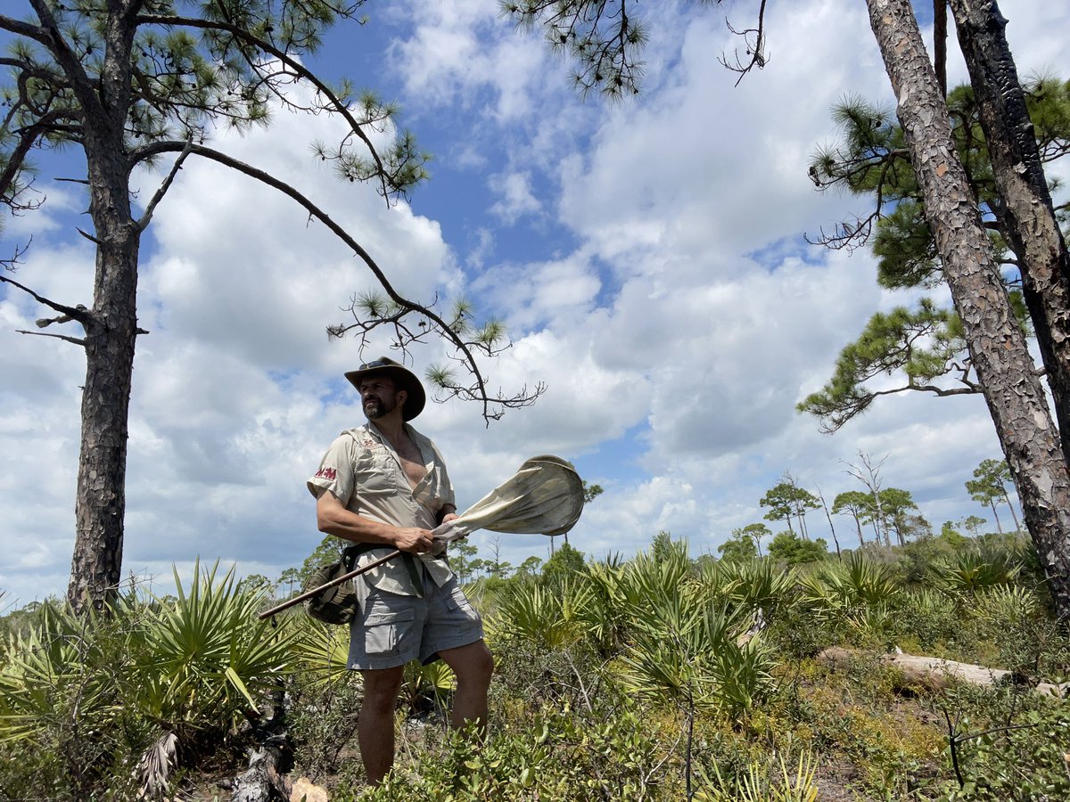 Last week was a busy one for the staff of the MEM.  We had a team getting an NSF REU/RET grant submitted, a team on a joint expedition with the UMMZ and a one-man team in Florida.