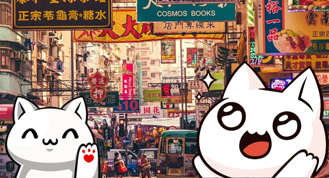 $NIHAO spotted in the city center