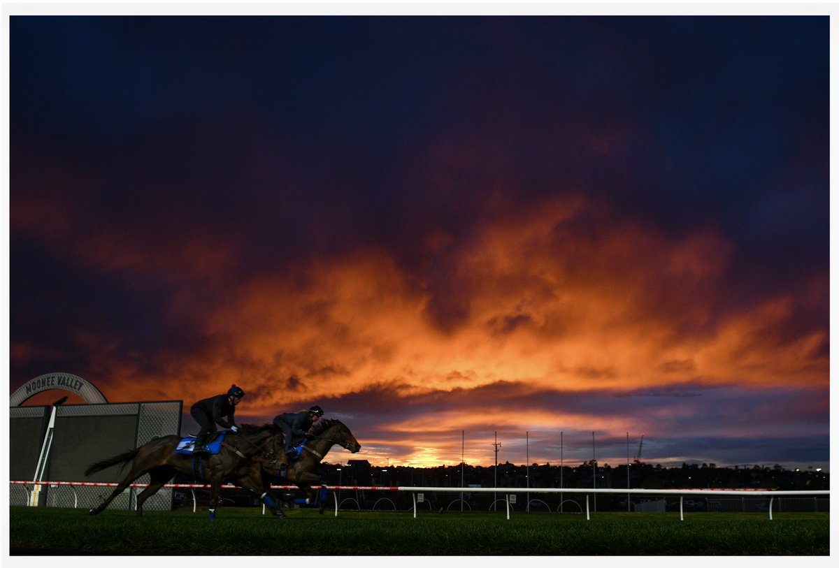 Godolphin 3yo PHOTOGRAPH &amp; Diamond Firetail knew where to stand 🌅🐎

"A good photograph is knowing where to stand" 
- Ansel Adams