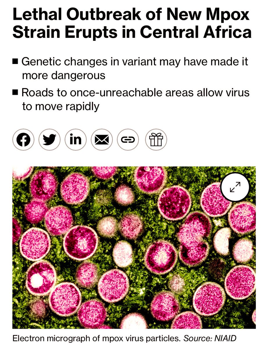 Roflindian's tweet image. A new fear is making the headlines these days: 

“Monkey pox is now a global health emergency!”

“… has spread to UK, Europe, North America and to countries where it is not endemic.”

“Lethal outbreak of new Mpox strain…”

“A new pandemic unfolding…”

Not again WHO, not again.