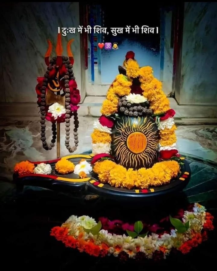 जीतने के लिए ज़िद्दी होना पड़ता है,
हारने के लिए एक डर ही काफी है
