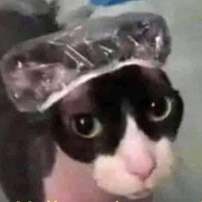 hersafetynet's tweet photo. a aula de hoje foi tão insalubre, conheci um professor nordestino que fala no 2x e explica na base do "aqui o tchaem aqui tomi" fiz 3 folhas de anotações e desisti de entender pra rever o conteúdo em casa depois, é amiga faculdade não é só botar na bio https://t.co/fs6vAha8aF