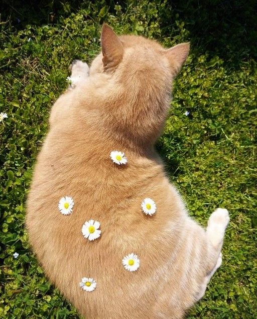 onlyyouforeveer's tweet image. 