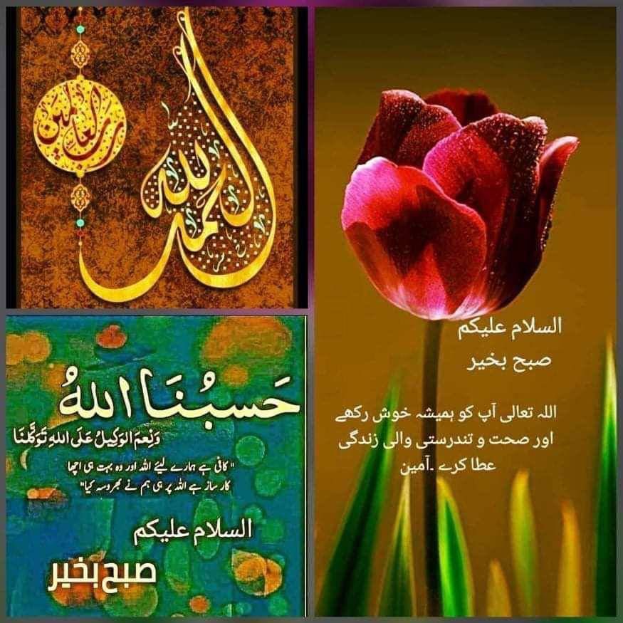 🔴𝐒ᴀɴᴀ 𝐑ᴀᴊᴘᴏᴏᴛ🔴 tweet media