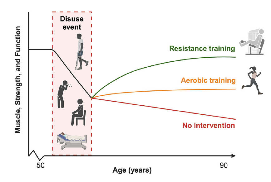 Jackson Fyfe, PhD tweet media