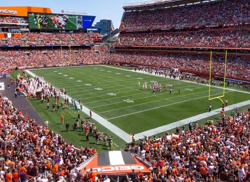 Haz Matthews tweet media