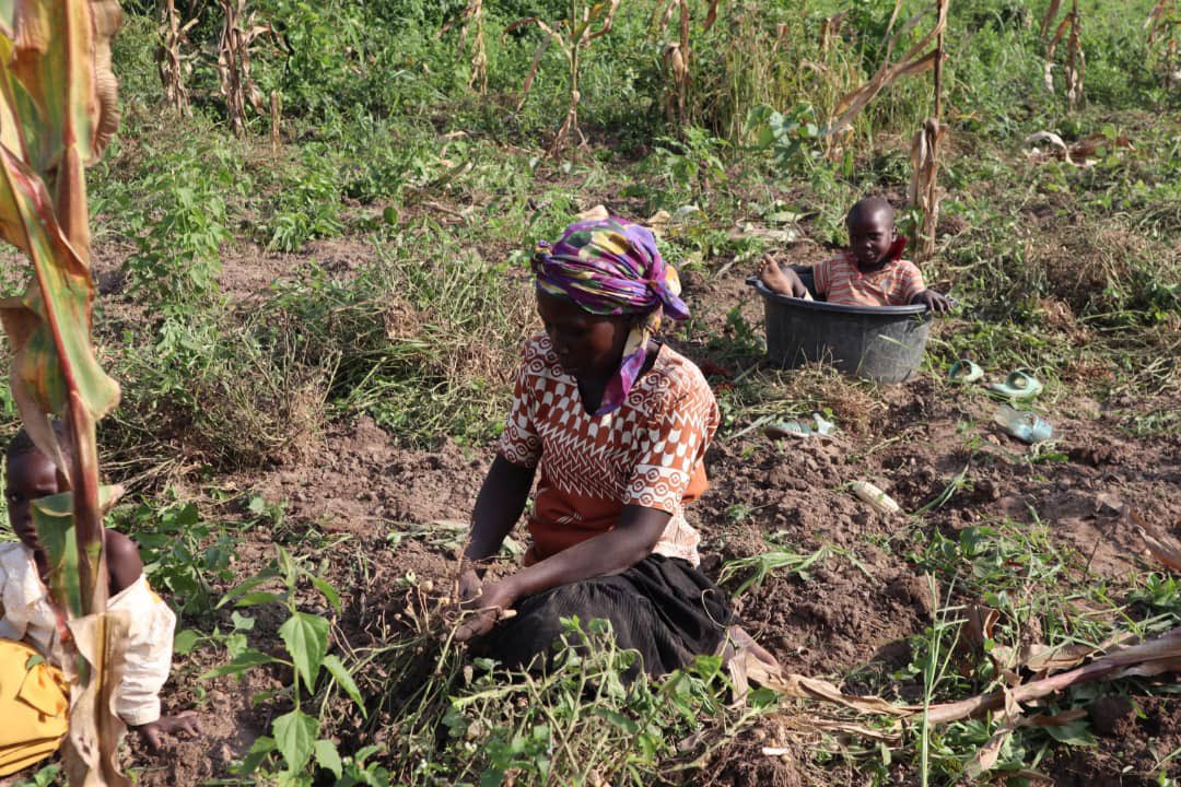 orgwagrau's tweet photo. Our Economic empowerment program has two approaches, 1st is Advocacy (Sensitization, legal representation,Policy and law advocacy,challenging discriminating norms,). 2ndly, actual placement of control of resources of production(land and labor) in the hands of women!! https://t.co/7r9m4tXxF8