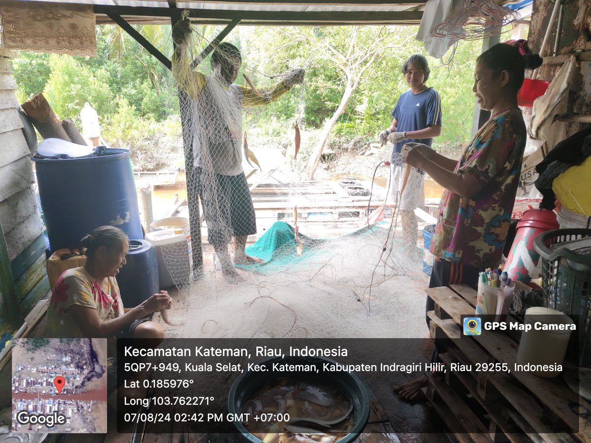 SUGIANT59834347's tweet photo. Rabu(07/08/24) Sugianto,Luhkan Kab.Inhil,di KUB TENGGIRI Kel.Tagaraja tangkapan Ikan Pirang 15 Kg/27.000/Kg,Lome 20 Kg/25.000/Kg dengan api Jaring Insang,bulan Agustus 2024
#GiatLuhkanSatminkalMedan #Inhil
#Tangkap #bpppmedan_brsdm https://t.co/PnS6UQpS5d