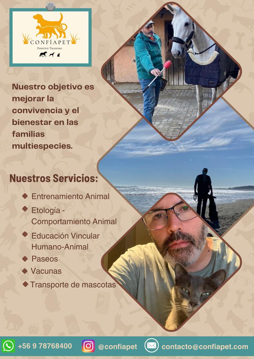 rorodonoso's tweet photo. https://t.co/H94SQ2I43y