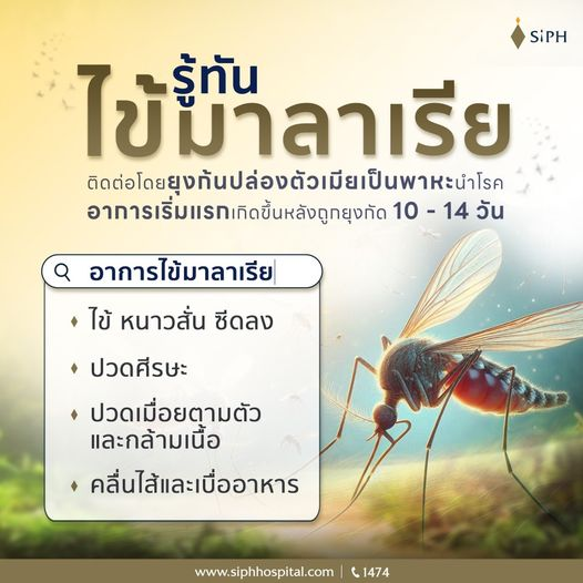 SiPHHospital's tweet photo. 20 สิงหาคมของทุกปี เป็นวันยุงโรค
ภัยร้ายมาลาเรีย อย่าประมาท! ป้องกันได้ไม่ต้องเสี่ยง
ยุงก้นปล่องตัวร้ายพาหะนำเชื้อไข้มาลาเรีย
#วันยุงโลก #มาลาเรีย #ศูนย์อายุกรรม
#KeyForCare #กุญแจสำคัญของการรักษา #SiPH #ศิริราชปิยมหาราชการุณย์ https://t.co/2gBfAfHMRm