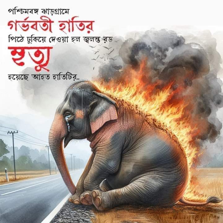 Faruk Rahman tweet media