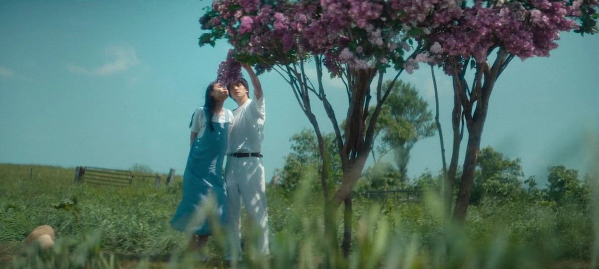 First Love 初恋 (2022) dir. Yuri Kanchiku