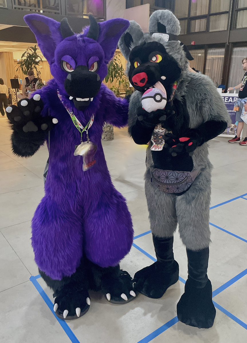 Vox Fox@Furlandia tweet media