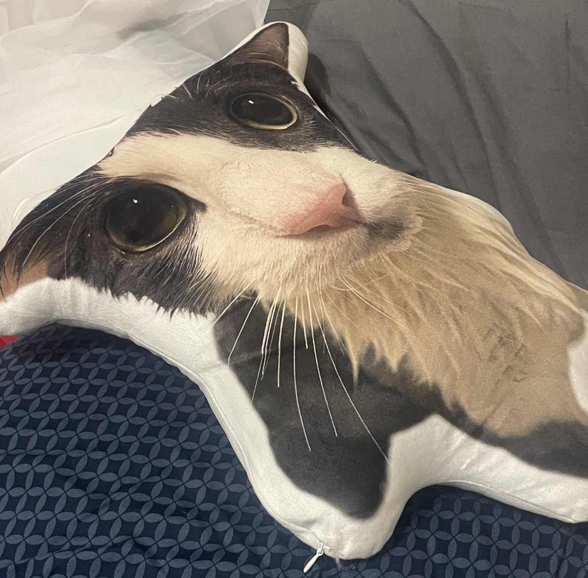 i just heard it breathe