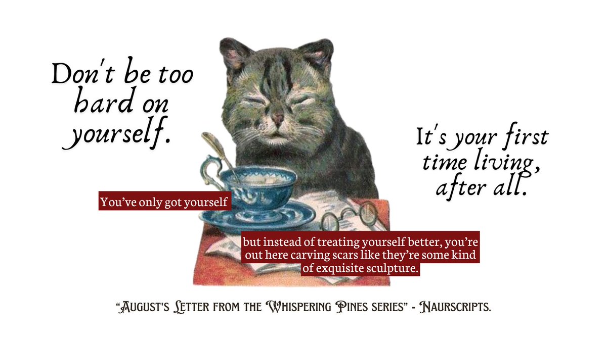 Literary Base tweet media