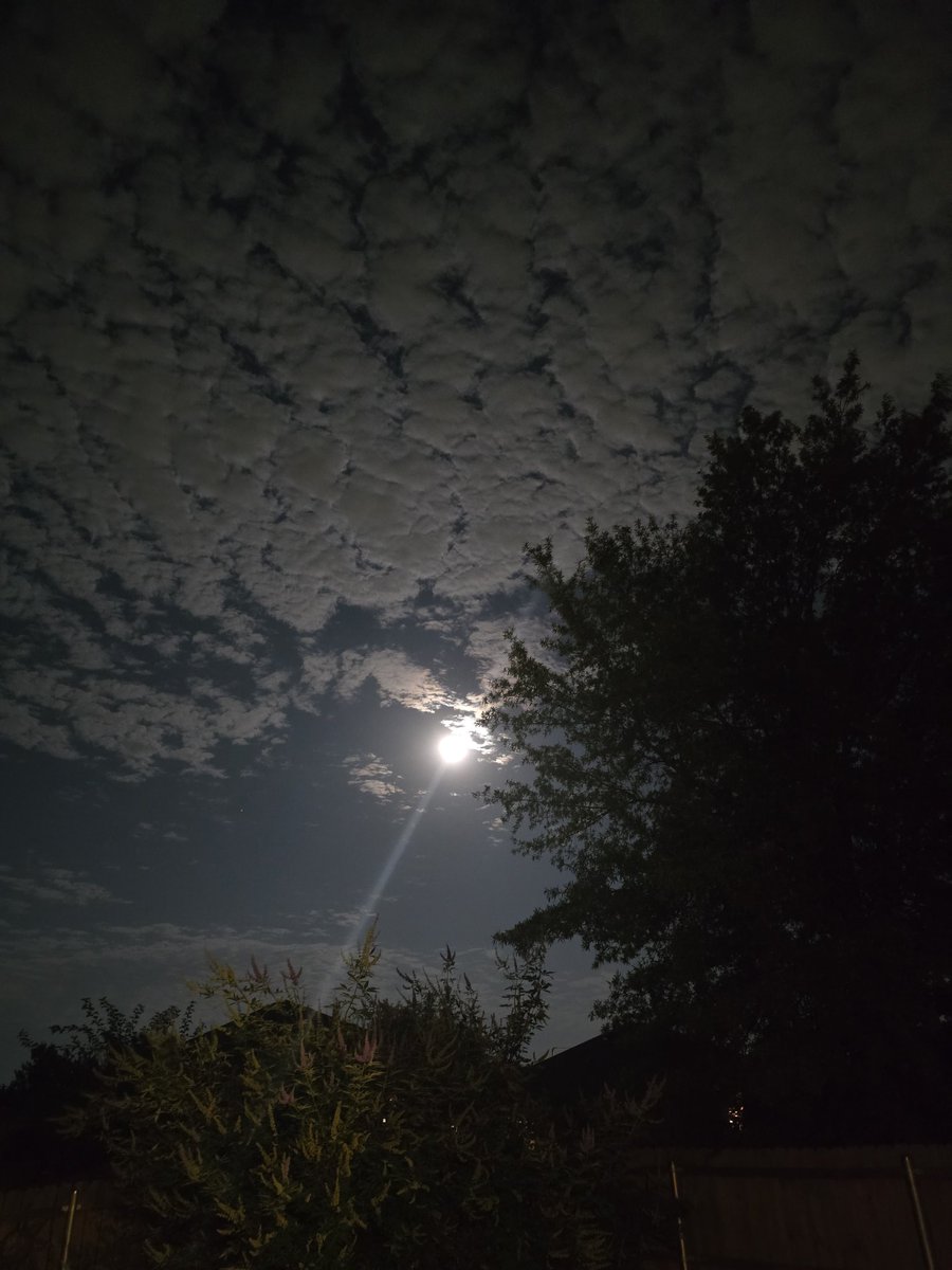 jodiexplores's tweet photo. Let's take a moment to appreciate the moon and all its glory. 💯🌚🤩
#okwx #moon #oklahomasky
#atsweather #teamtuttle #nightsky https://t.co/mywuquuosO