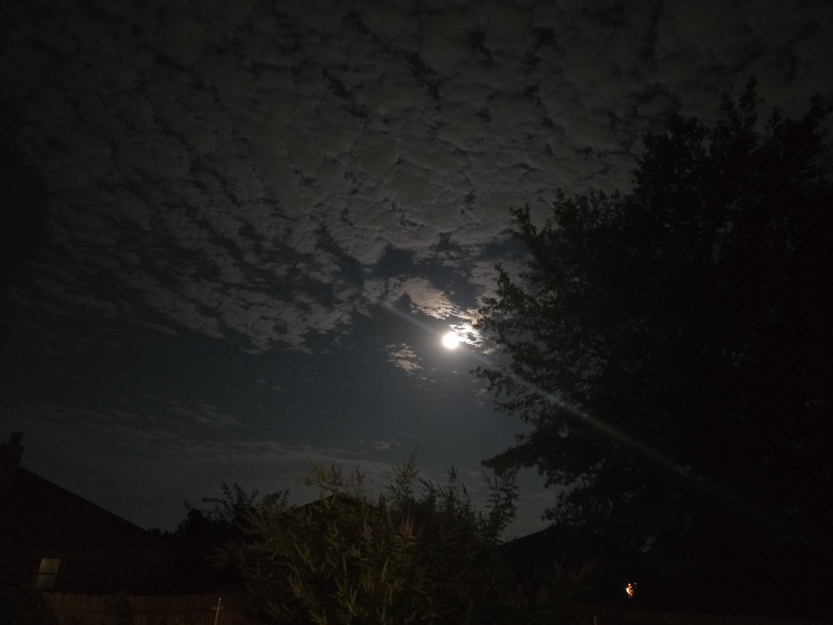 jodiexplores's tweet photo. Let's take a moment to appreciate the moon and all its glory. 💯🌚🤩
#okwx #moon #oklahomasky
#atsweather #teamtuttle #nightsky https://t.co/mywuquuosO