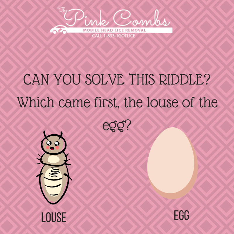 NitLynn's tweet photo. Comment your answer in the comments below.
#LiceFreeLife #NoMoreLice #LicePrevention #LiceBeGone
 #HeadLiceHelp #LiceTreatment #LiceFreeKids #FightLice #LiceSolutions #LiceAwareness #LiceFreeFamily #LicePreventionTips #LiceFreeZone #LiceCheck #LiceRemoval #SayNoToLice https://t.co/sOiWUMVIkY