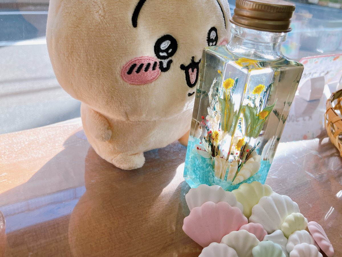 eiju_flower's tweet photo. eijuです。
夏休みのワークショップを開催中。
今年の夏の思い出に貝殻を入れてハーバリウムを作りましょう！
海で拾ってきた貝殻を入れたら思い出の詰まったハーバリウムになりますね🏝️

予約はxからでも受け付けています。

#eiju
#夏休みの思い出
#自由研究
#工作
#ハーバリウム https://t.co/z7gkqoJRDf