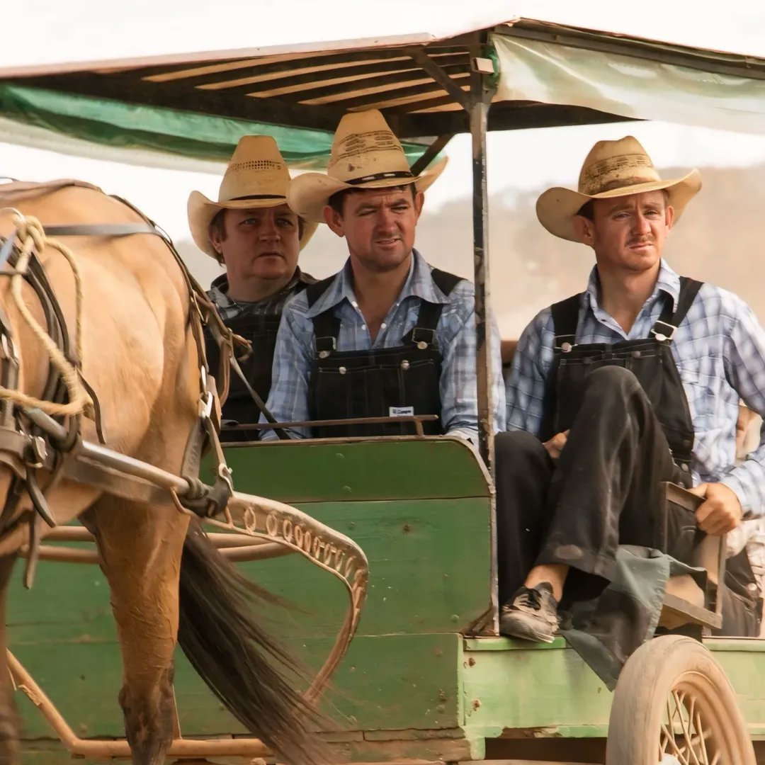 🇵🇪Deforestación en la Amazonía Avanza por Colonias Menonitas🧑‍🌾

Las comunidades menonitas en la región de Ucayali han sido vinculadas a la deforestación ilegal, con pérdidas significativas de selva tropical en los últimos años.  
📰🔗colglobalnews.com/noticias/defor…