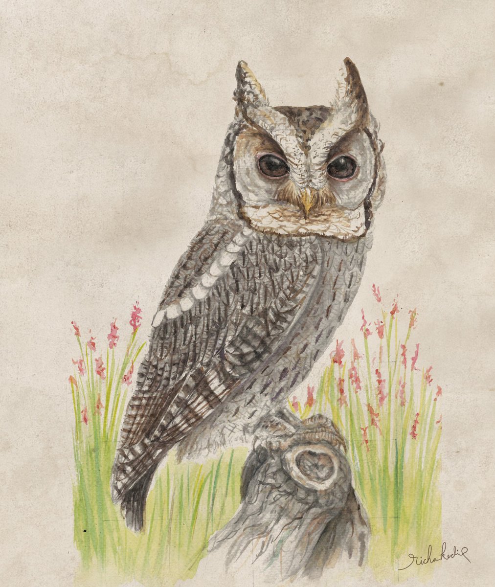 Richa Kedia tweet media