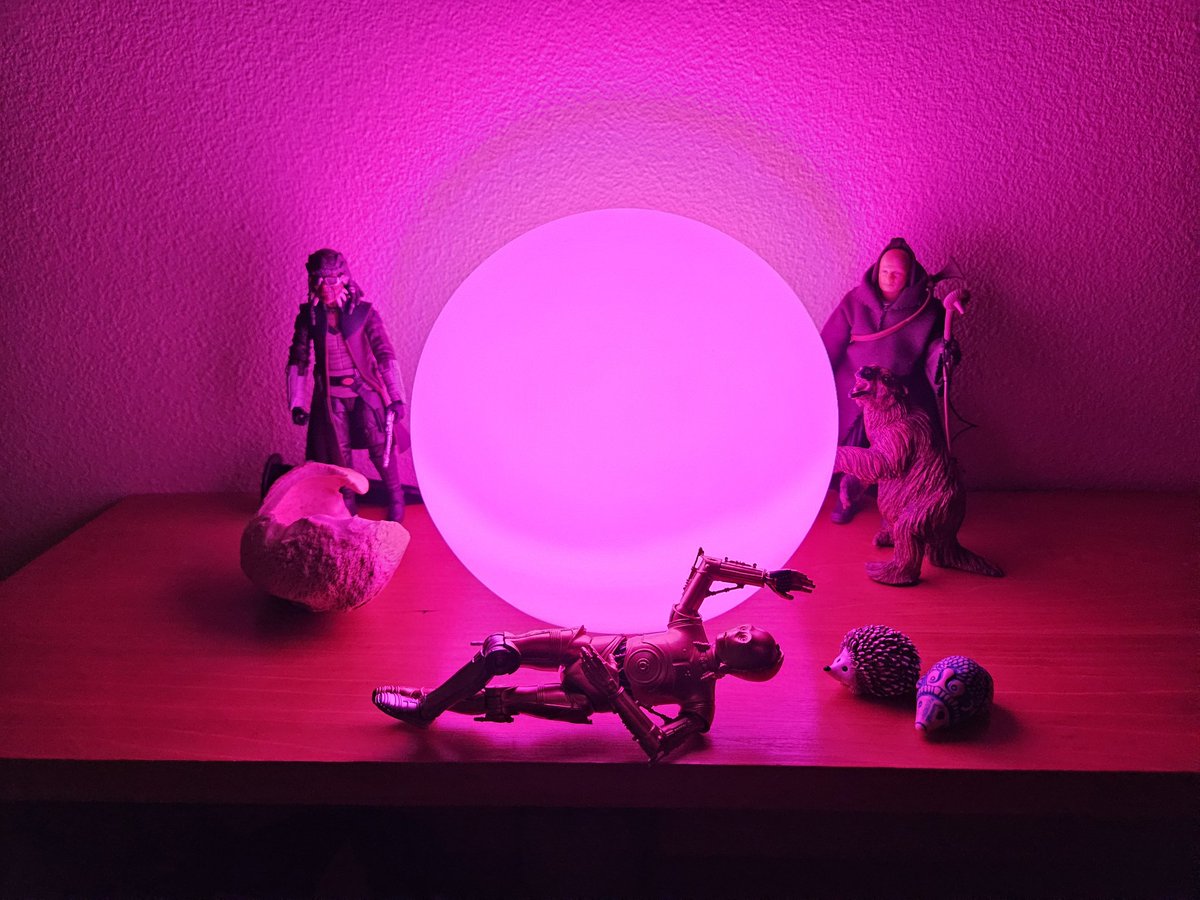 HobbitPirate's tweet photo. Got a new bone from the bone store (far left) https://t.co/bXo8Qr4ian