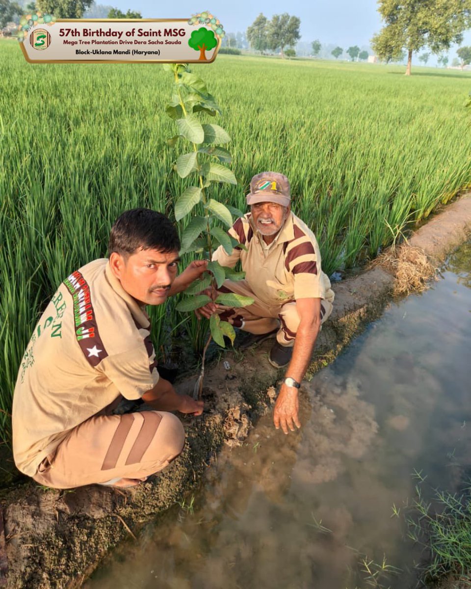 GreenSwelfares's tweet photo. "Every tree planted is a step towards a greener tomorrow."
Shah Satnam Ji Green ’S’ Welfare Force Wing volunteers, united in spirit and purpose, celebrated Saint Dr. MSG Insan's birthday with a global tree-planting initiative. By nurturing young saplings, they offered a lasting gift, honoring His vision for a sustainable future. #SaintMSGInsan #MegaTreePlantation #MSGBhandara