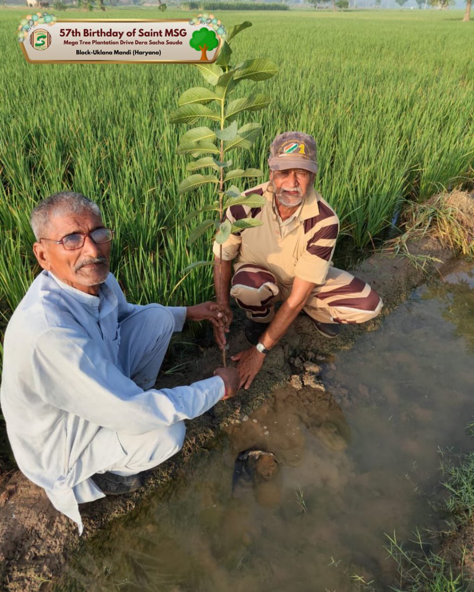 GreenSwelfares's tweet photo. "Every tree planted is a step towards a greener tomorrow."
Shah Satnam Ji Green ’S’ Welfare Force Wing volunteers, united in spirit and purpose, celebrated Saint Dr. MSG Insan's birthday with a global tree-planting initiative. By nurturing young saplings, they offered a lasting gift, honoring His vision for a sustainable future. #SaintMSGInsan #MegaTreePlantation #MSGBhandara