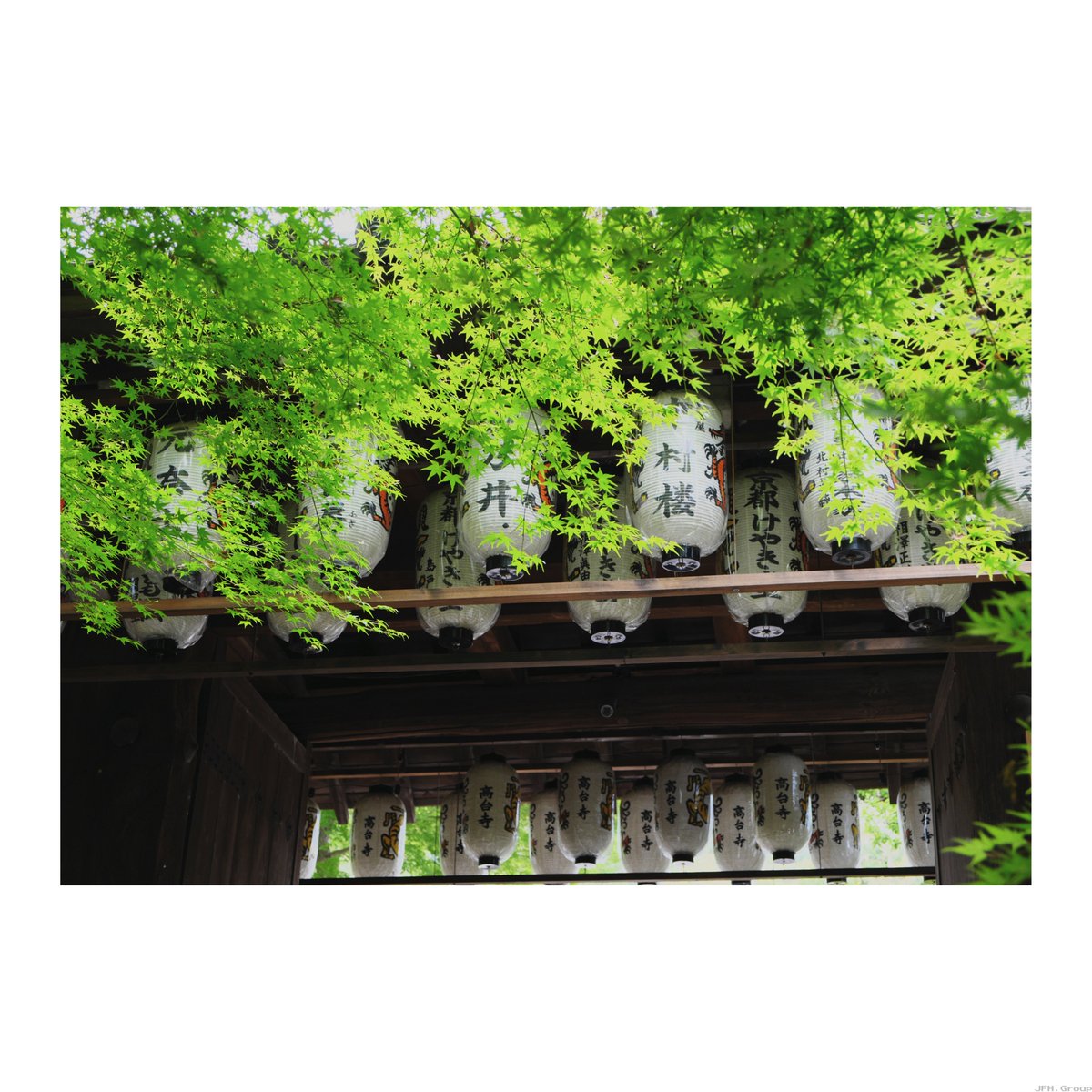 JFHGroup's tweet photo. Kodaiji Temple : Kyoto
📷 Fujifilm XE-1
#fineartphotography #asmr #art #vsco #street #cafe #eFilm #kodak #Shorts #reels #fuji #streetphotography #rnifilms https://t.co/ybZqfTS8Ok
