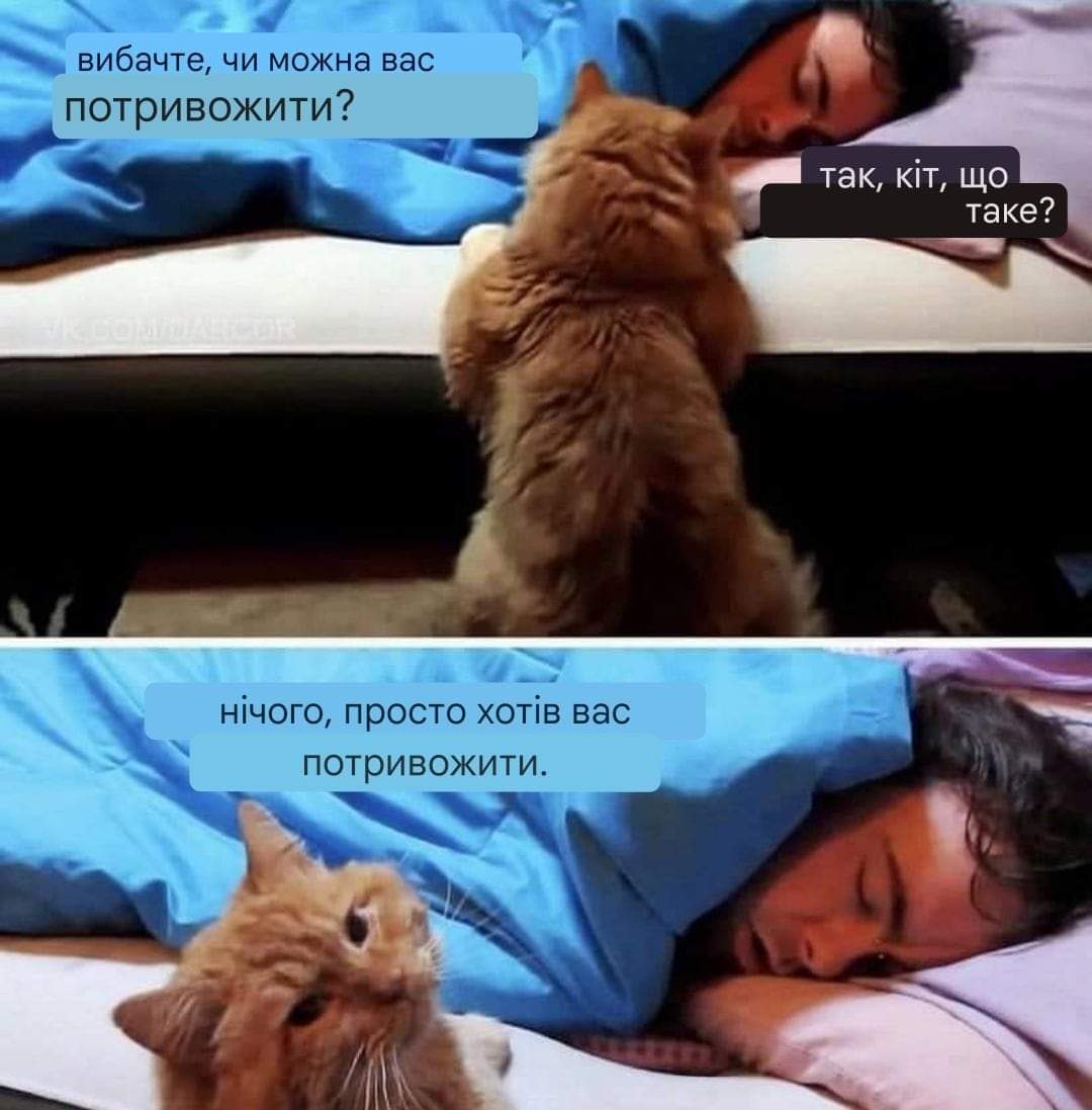 kotyachamamka's tweet photo. Тааа https://t.co/HUQBlZ5cNH