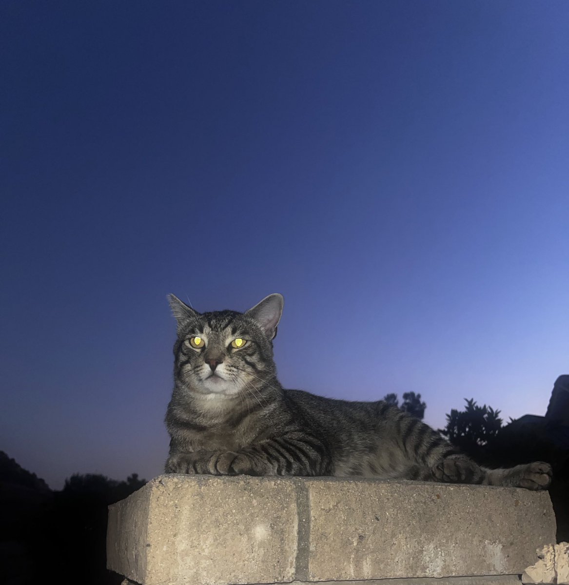 very mindful and demure 🖤