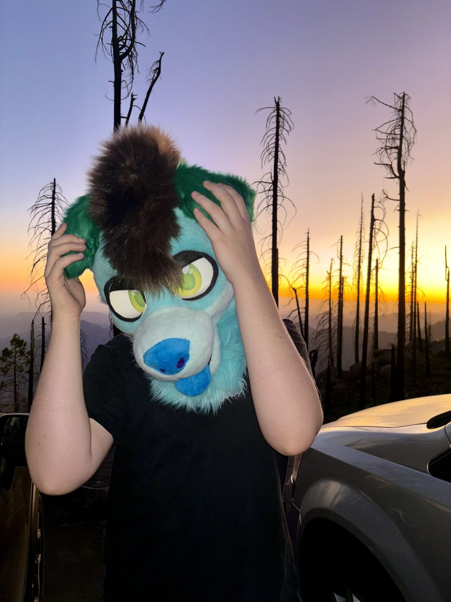 Rivvywolf's tweet photo. @oakleycreations My blue art hehe :3 https://t.co/kxtjjeUTCl