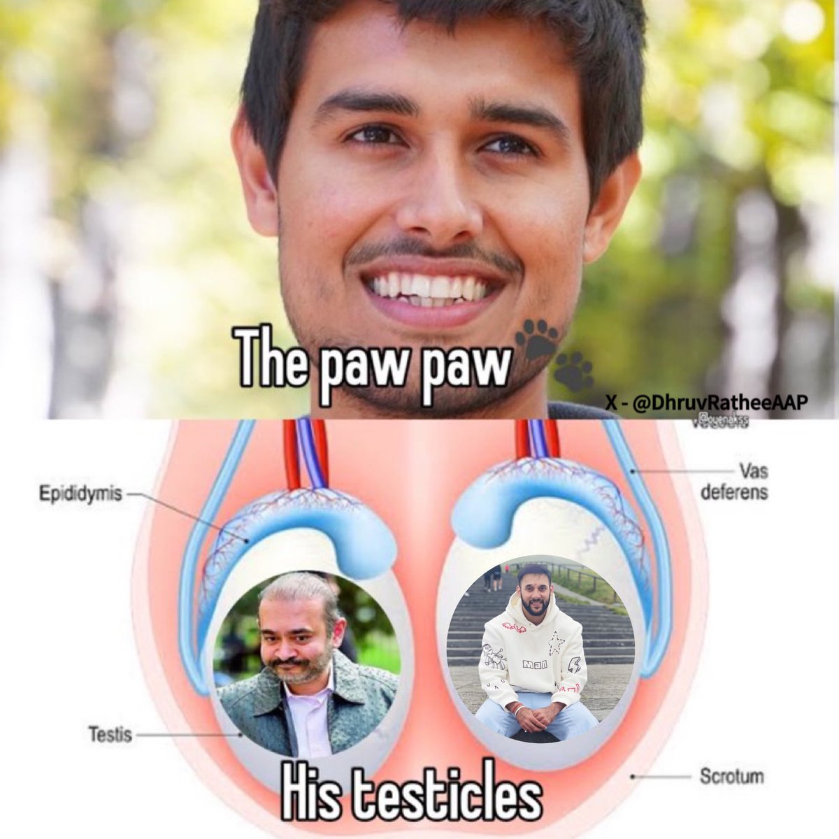 Nimo and Chapri Arpit with their Paw-Paw German Shepherd Dhruv Rathee. 🙏