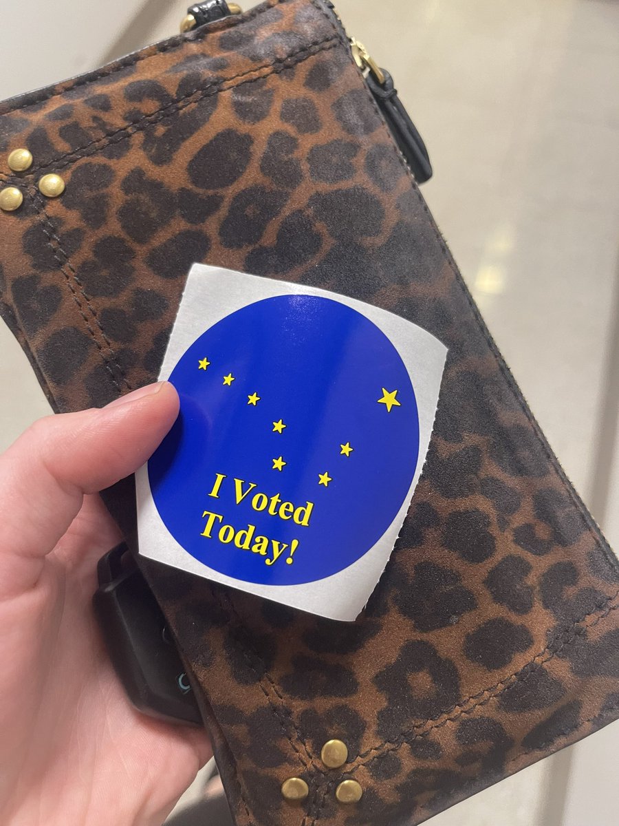 heck_at_e's tweet photo. August 20 is Primary Election Day. I early-voted at City Hall in less than five minutes today. Pokémon Go To The Polls, #Alaska! #vote #Election2024 https://t.co/MFYRKosWxg