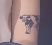 Owen Shroyer tweet media