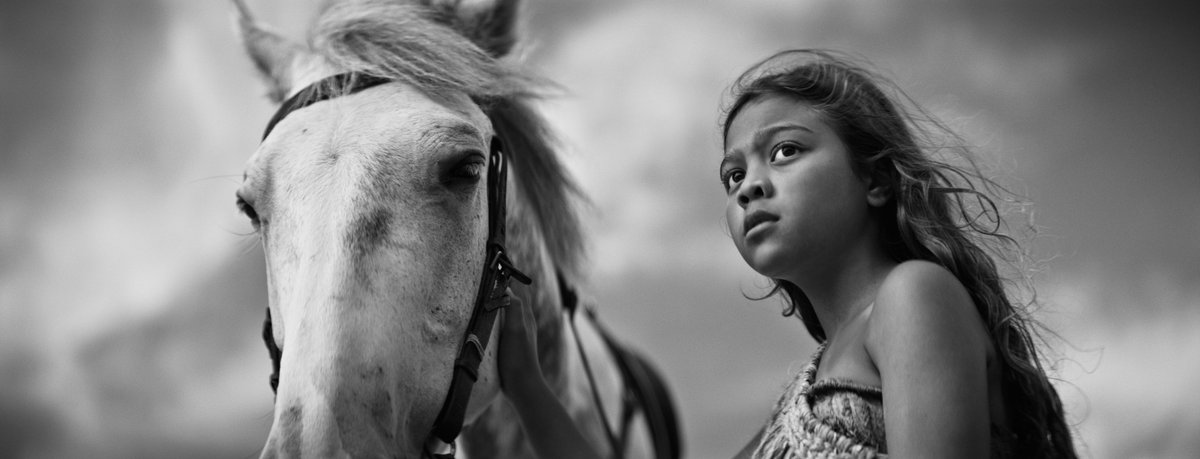 Congratulations to the winner of our Auckland Live Spirit of the Civic Award - FIRST HORSE
Director: Awanui Simich-Pene
Producers: Puti Simich, Mia Henry-Tierney, Heperi Mita
Screenplay: Awanui Simich-Pene, Heperi Mita