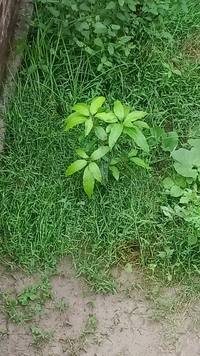 समाज सिर्फ़ दिखावे को पसंद करता है ,
वास्तविकता से समाज का कोई लेना देना नहीं है...!!