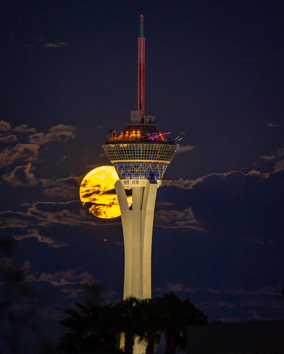 Las Vegas Locally 🌴 tweet media