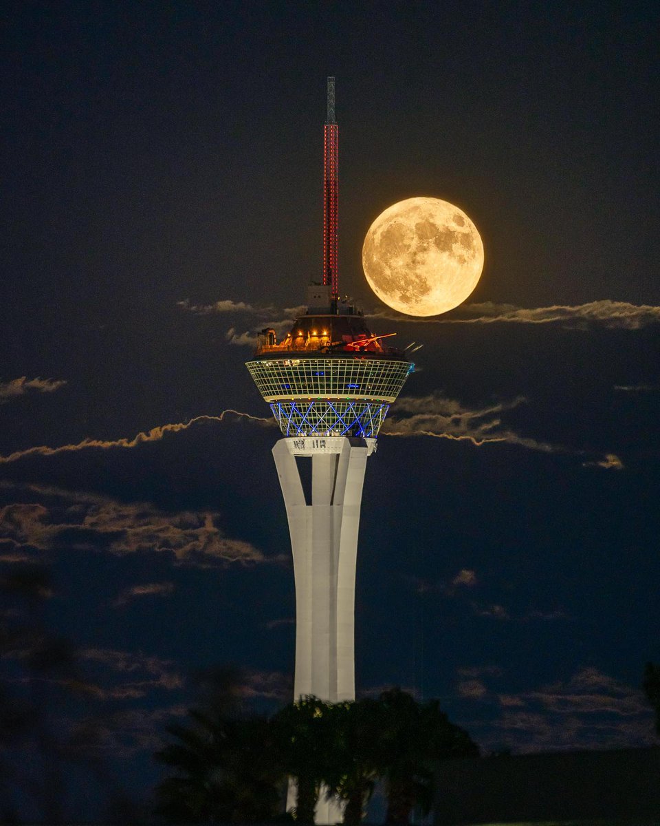 Las Vegas Locally 🌴 tweet media