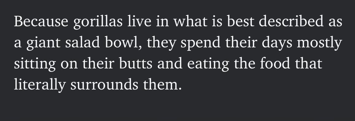 Juan Pablo Ortiz tweet media