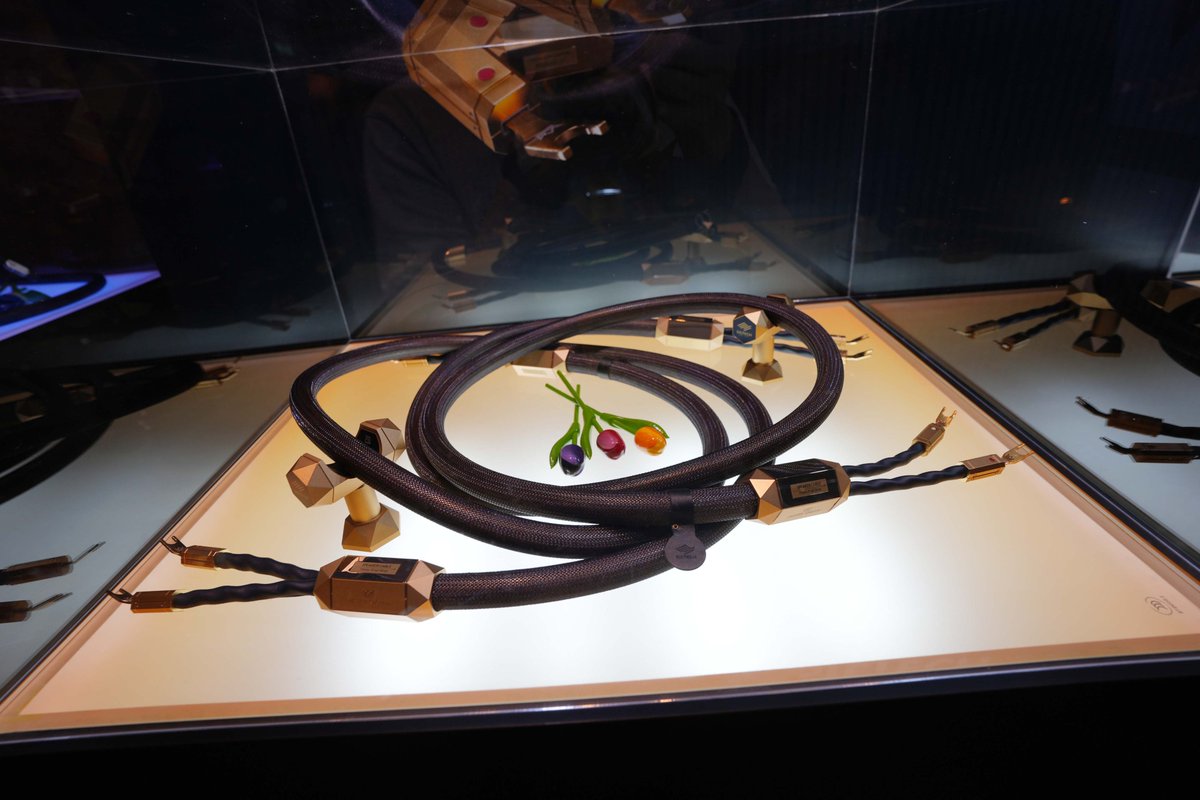 richcoln's tweet image. 【2024 香港高級視聽展報導｜Siltech】
#Siltech #MasterCrown #S10 #Monocrystal #保留聲音所有微小細節 #音樂還原度極高 #性能手屈一指
Read the full article here: reurl.cc/my3x6Y