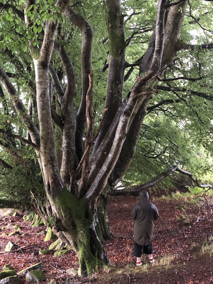 Ian Edwards tweet media