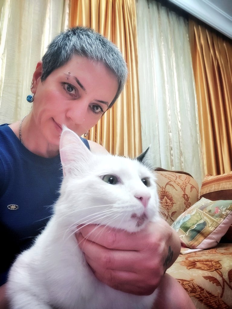 hayaxcig's tweet photo. ❤️🐾🐈⬛💋🐈 #BulutBey https://t.co/V2Tq3GqsaR