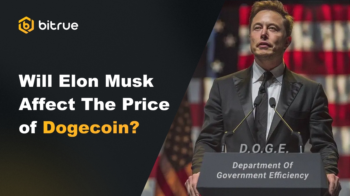 Elon musk dogecoin price impact (64) foto