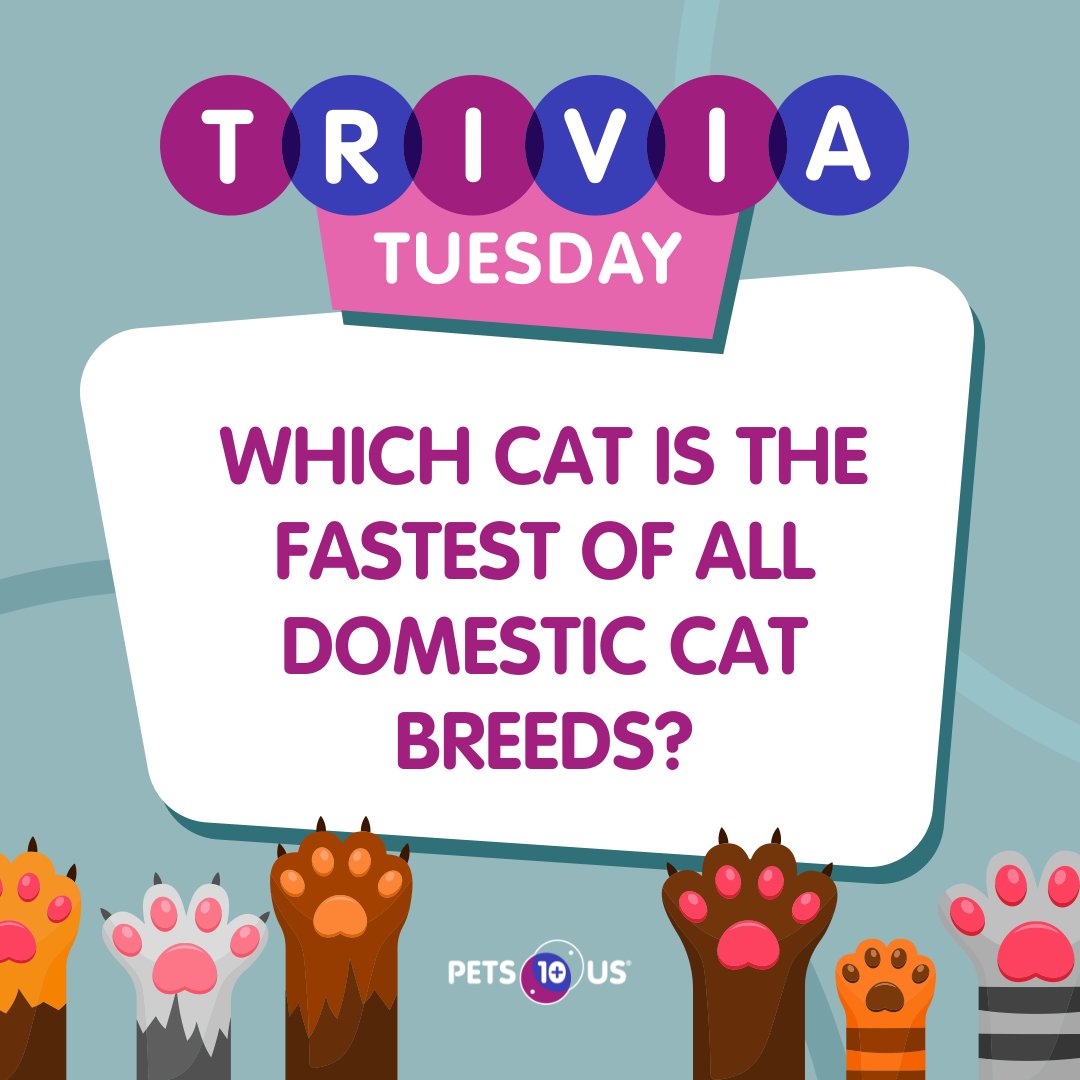 #Win a $25 PetSmart gift card! To enter, answer the question, retweet this post and follow <a href="/PetsPlusUsIns/">Pets Plus Us</a> by 11:59PM EST. Open to Canadian &amp; US residents (excluding QC). Ways to enter: bit.ly/3wBFKxO