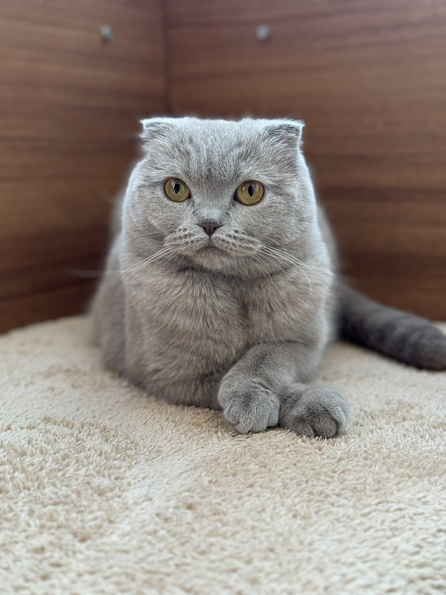 Keyfimin kahyası :)